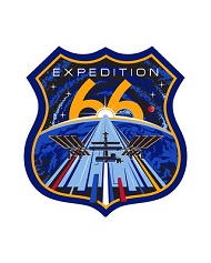 Patch Expedición 66